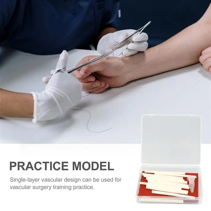1 Nastavite Človeške Krvne Žile Model Vaskularna Kirurgija Usposabljanje Model za Usposabljanje