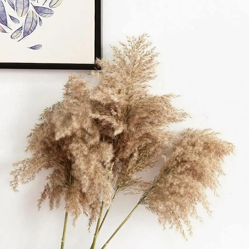 10pcs Naravnih Big Reed Travo Kup Pampe Rastlin Posušen Cvet Šopek Za DIY Umetno svate, Dekoracijo