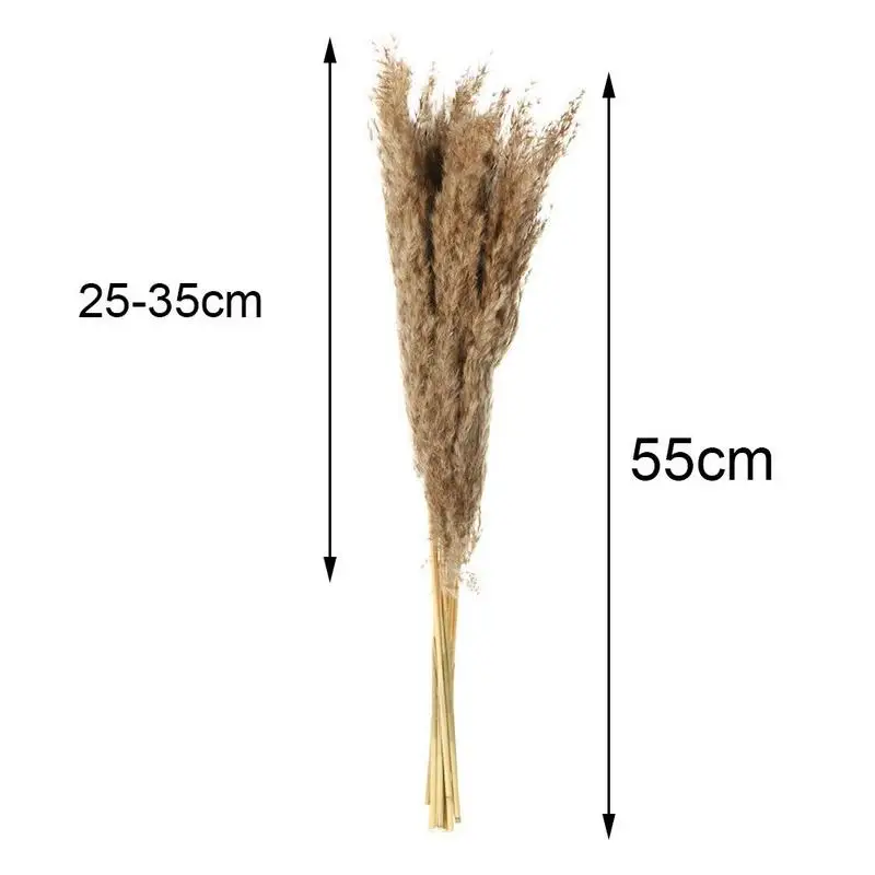 10pcs Naravnih Big Reed Travo Kup Pampe Rastlin Posušen Cvet Šopek Za DIY Umetno svate, Dekoracijo