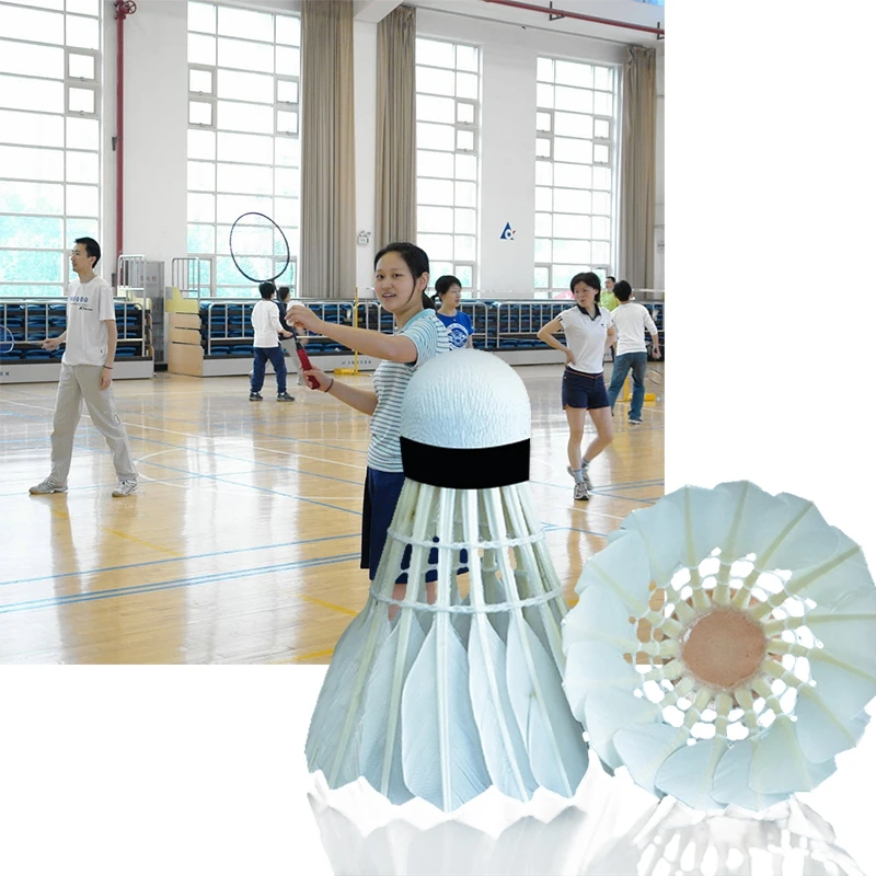 12 Kos / Veliko Badminton Gos Navzdol Badminton Žogo Žogica Na Prostem Šport Fitnes Oprema