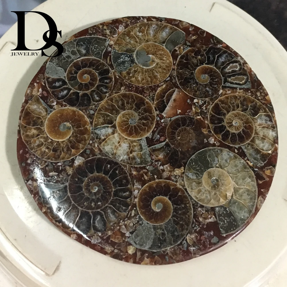 120 mm Naravnih Ammonite Rezina Ploščo Fosilnih Rezine Ocean Polž Conch Kamen Madagaskar Mineralnih Primerka Za Dekoracijo Zaslon