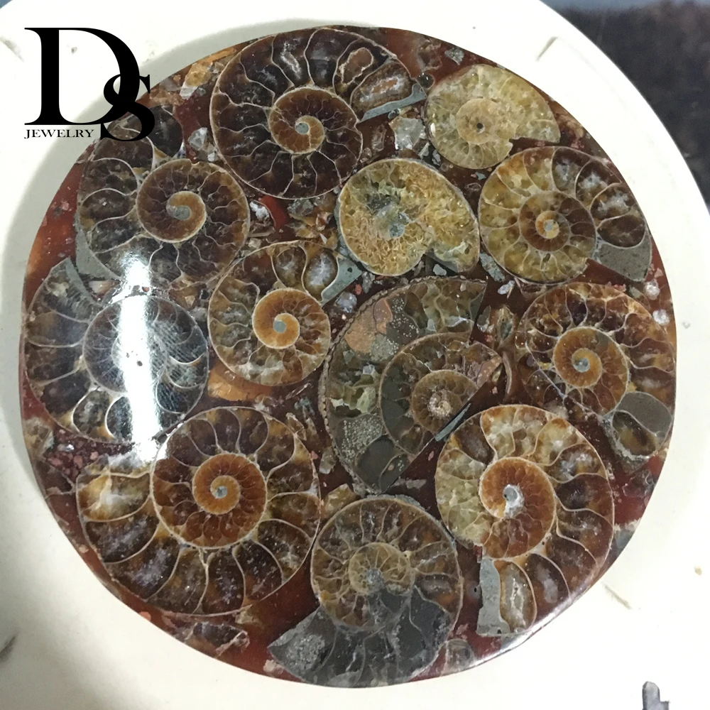 120 mm Naravnih Ammonite Rezina Ploščo Fosilnih Rezine Ocean Polž Conch Kamen Madagaskar Mineralnih Primerka Za Dekoracijo Zaslon