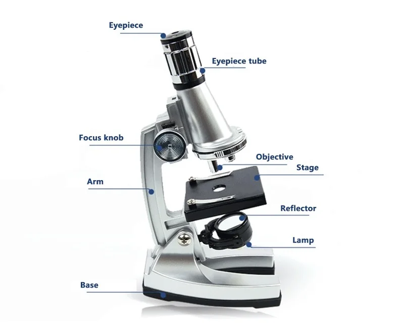 1200X Zoom Oko Biološki Mikroskop Osvetljeni Začetnike, Otroke Študent Otroci Izobraževalne Igrače Mikroskop