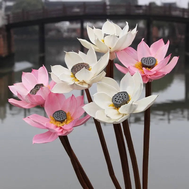 1PCS Naravno, Umetno Posušeno Cvetje Lotus Posnemanje Konzervirane Flores Home Office Dekoracijo DIY Dekor Obrti Stranka Dobave