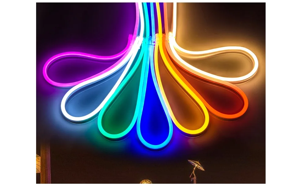 220V Flex LED Neon Vrv Svetlobe RGB 1m 5m 10m 25m 50m 100m Zaprtih prostorih, na Prostem za Počitnice Stranka Valentine Dekor Rdeča Modra Rumena Bela