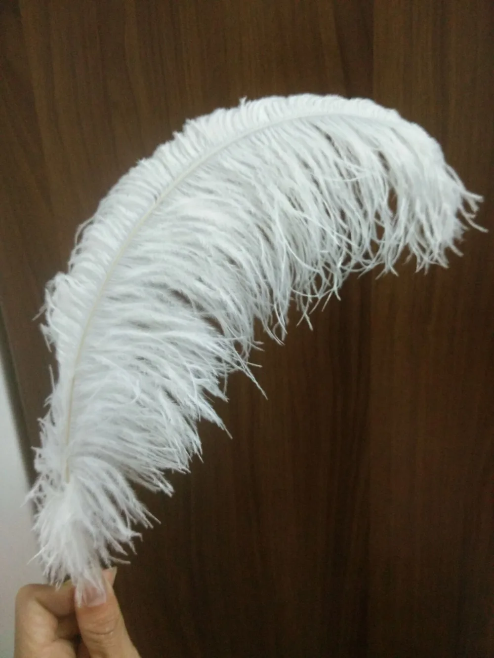 50 pc kakovostna bela noja, perje, 16-18inches / 40-45 cm, DIY poročne dekoracije