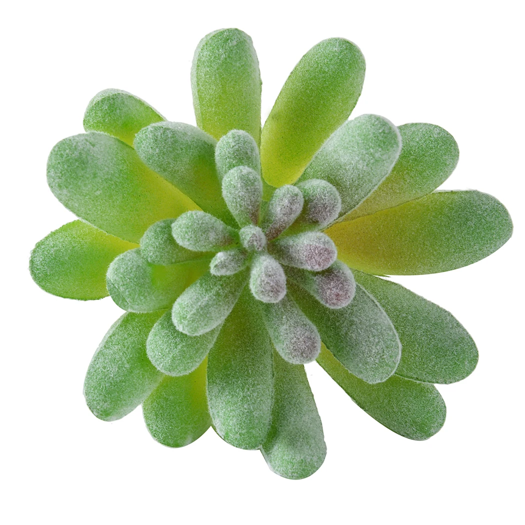 5pcs Zelena Zgrinjati Umetno Succulents Rastline Bonsaj Namizje Ponaredek Rastline Poročno Dekoracijo Plante Artificielle Dropshipping