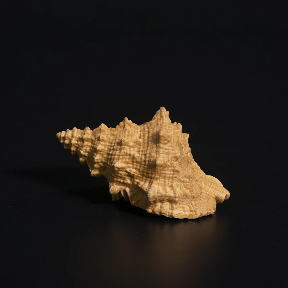 8 cm Conch Šimšir Carving Lupini Obrti Ugoden Feng Shui Masivnega Lesa Kip Doma Dekor