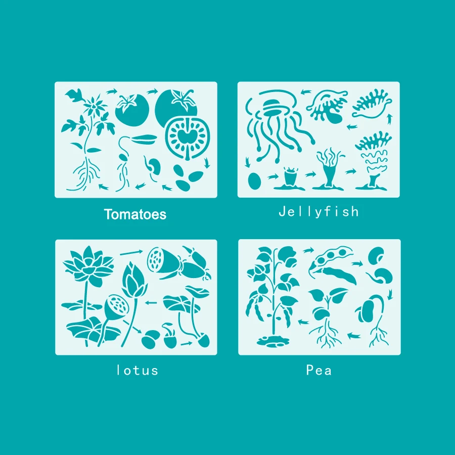 8pcs rastlin Meduze Lotus Grah, Sončnično Arašidovo Korenček Loofash Življenjskega Cikla Montessori Izobraževalne Šablone za Risanje za Otroke