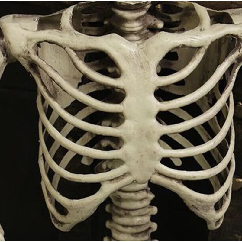 90 cm Halloween Squelette Dekoracijo Za Uklet Hiša, 90 cm, Plastična Lobanje Okostje Za Bar Halloween Cosplay Okostje Otrok