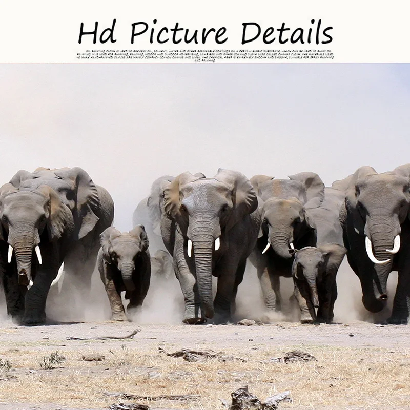 Beli in črni Afriki Slon Divje Živali Platno Slikarstvo Plakatov in Fotografij Cuadros Wall Art Slik, Dnevna Soba Dekor