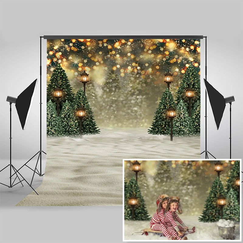 Božič Pozimi Sneg Fotografija Ozadje Photophone Božično Drevo Decor Ozadje Flash Bokeh Okolij za Foto Studio