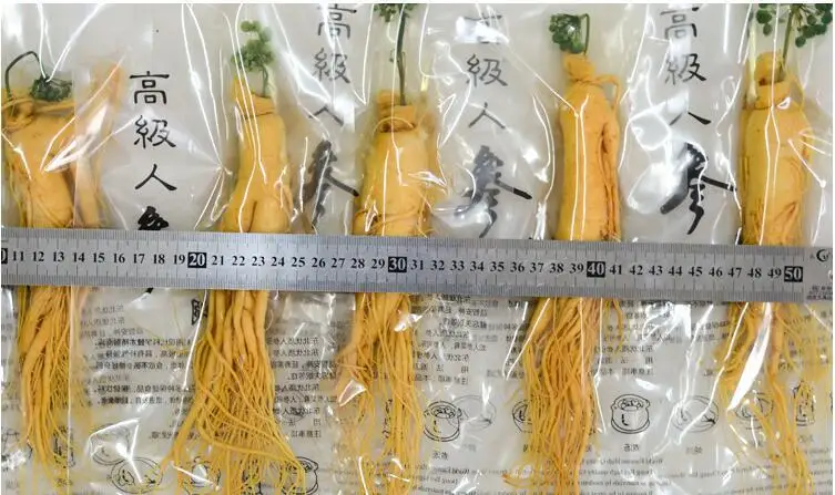 Changbai Sveže Ginseng Koren 150 g zgornji Razred Vakuum Paket Panax ginseng Koren 8 Let, Zeliščni za nego kože, kozmetični uporabo