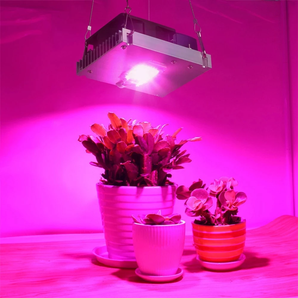 COB LED Grow Light Celoten Spekter 100W 150W 3500K Rastlin Raste Lučka Za Sobne Rastline Cvetje v Rastlinjakih Hydroponics Rastejo Šotor