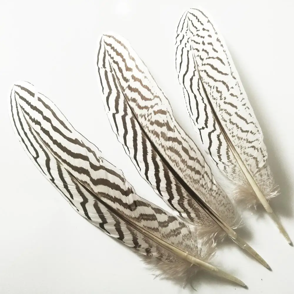 Debelo 50pcs/veliko srebrno fazan pero piščanec pero/pav pero/noj pero za millinery /pokrivala 18-25 cm