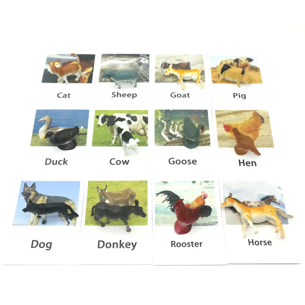 Divje Živali Ujemanje Igro Montessori Baby Usposabljanje Kartice Izobraževalne Besede Učenje Igrače Za Toddlers Juguetes K2344H