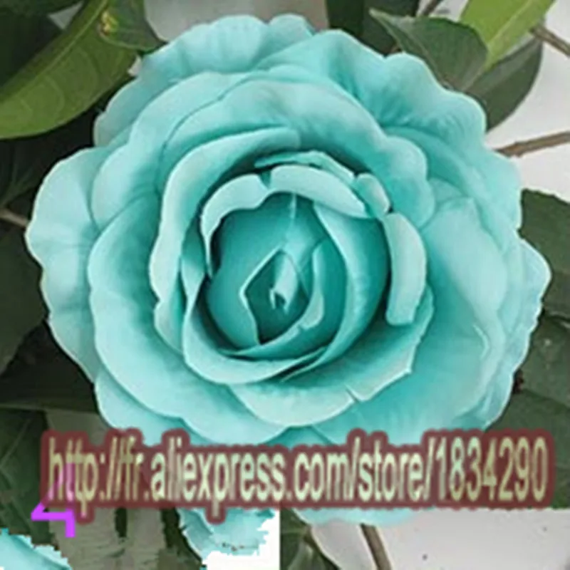 DIY Umetne svile Rose cvet glavo, zaradi česar poroko ozadju dekoracijo cvet steno z rožo 240PCS/10 cm veliko TONGFENG