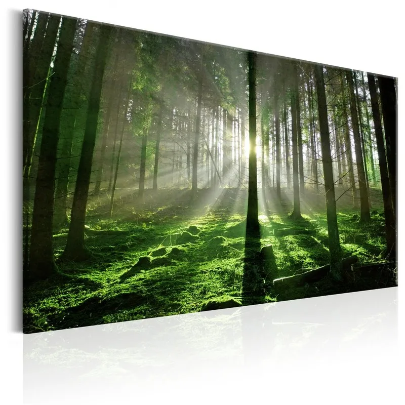 DIY Uokvirjena Platno Slikarstvo, Fotografija Natisnjena na Platno, Smaragdni Gozd Slika Fotografije Tiskanje Dnevna Soba Art Dekor