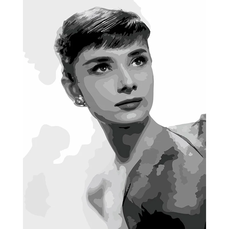 Doma Dekor Audrey Hepburn Digitalni Akril Barve, Komplet Olje, Barvanje z Številkami 40*50 cm z Okvirjem Steno Platno Plakat cuadros DY237