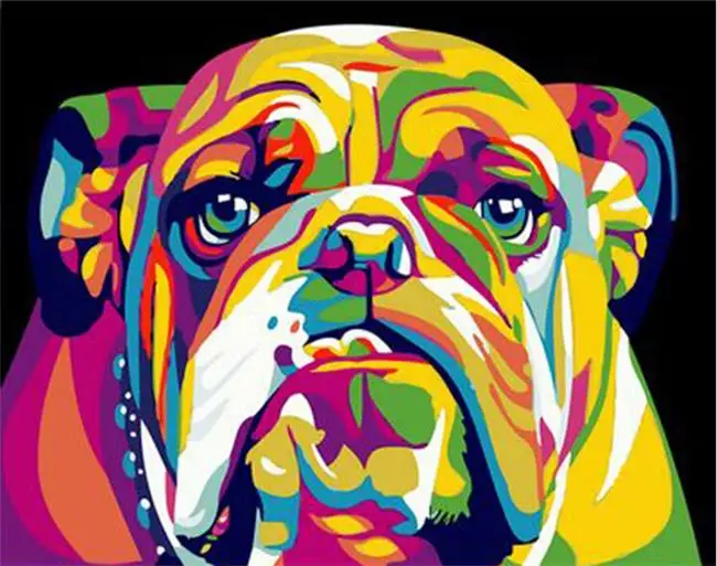 DRAWJOY Pisane Pes Živali Uokvirjena Slika, Slikarstvo & Kaligrafija DIY Barvanje Z Številkami, Barvanje Z Številke