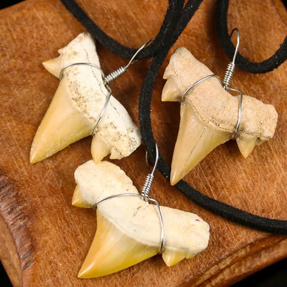 Edinstveno Naravno Maroko Morski Pes Zob Obesek Elegantno Pravi Morski Pes Zob Vzorec Amulet Ogrlica Antilop Verige Kavboj Človek Dragulj