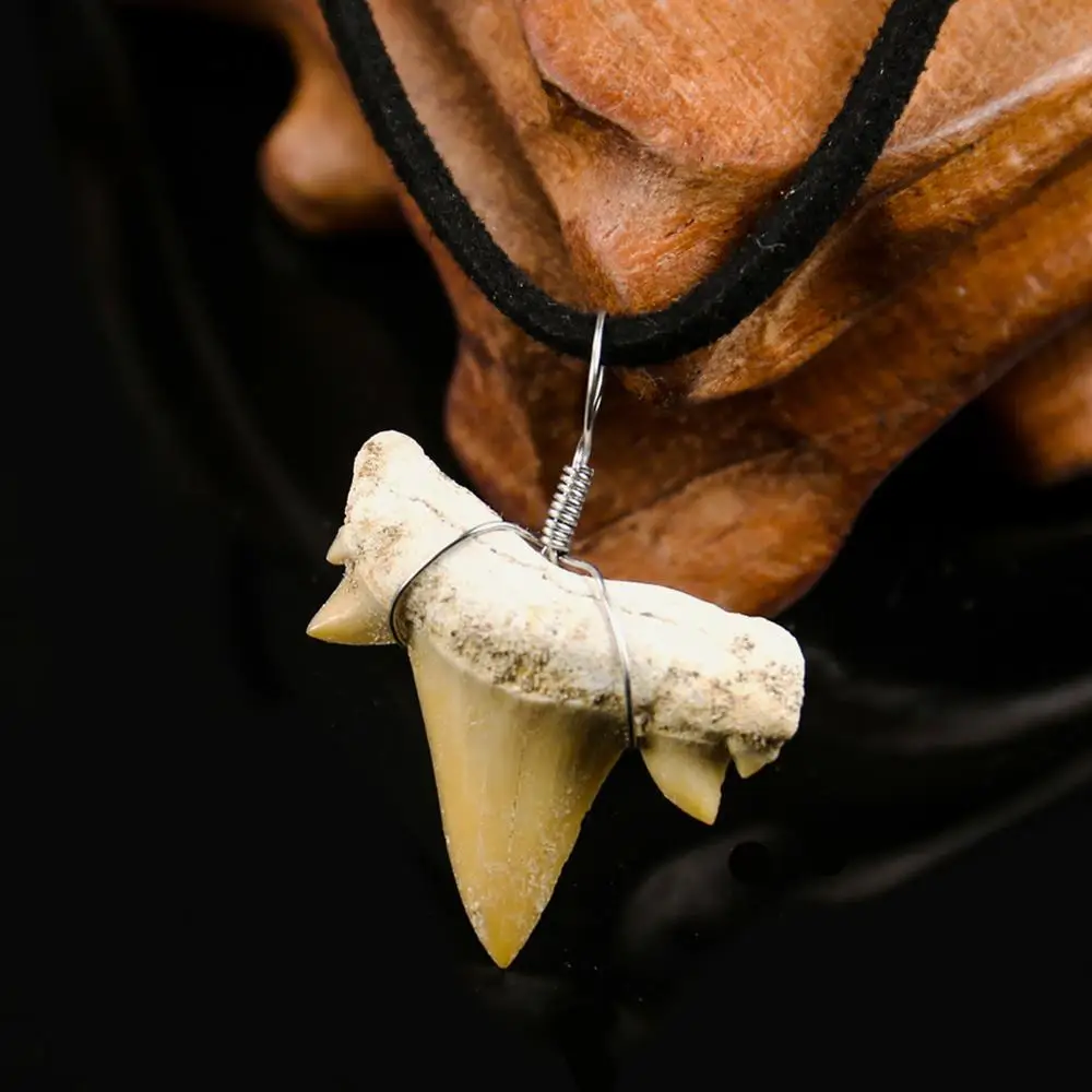Edinstveno Naravno Maroko Morski Pes Zob Obesek Elegantno Pravi Morski Pes Zob Vzorec Amulet Ogrlica Antilop Verige Kavboj Človek Dragulj
