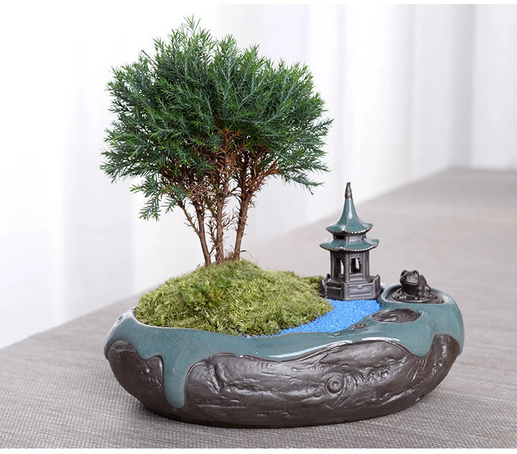 F Bonsaj Pravljice Vrt Ornament Keramični Slika Ge Yao Zen Pomeni Malo Menih Mikro Krajine Dom Dekoracija Dodatna Oprema Čaj Za Hišne Živali
