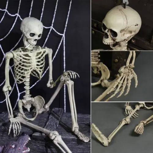 Halloween Prop Dekoracijo Okostje Polni Velikosti Lobanje Strani Življenja Telo Anatomija Model Dekor