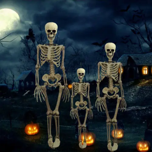 Halloween Prop Dekoracijo Okostje Polni Velikosti Lobanje Strani Življenja Telo Anatomija Model Dekor