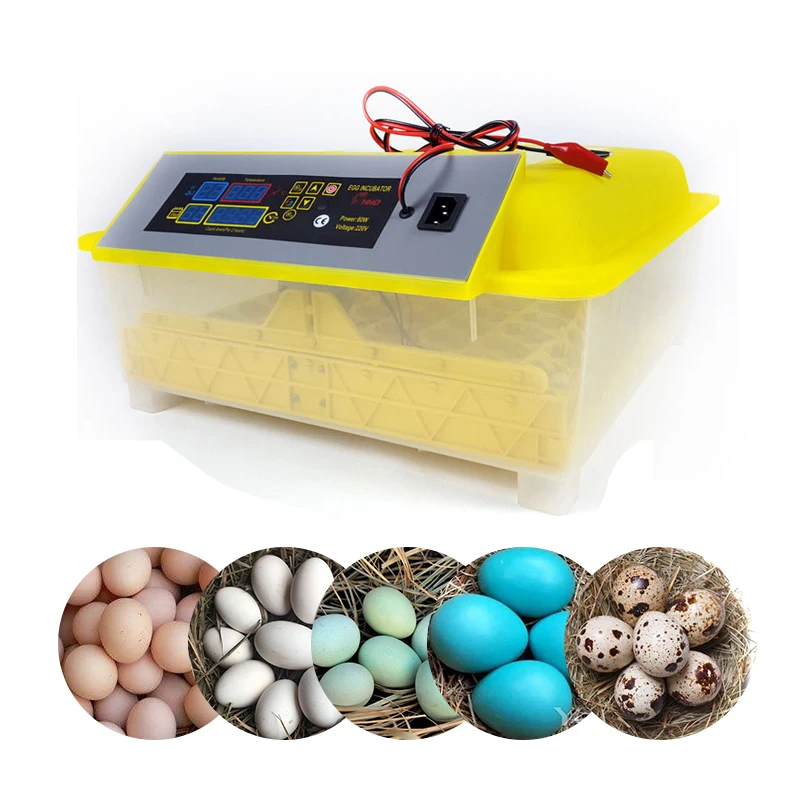 HHD 48 jajce inkubator popolnoma avtomatsko Kmetije, Prikaz Temperature Perutnine, valilna machiner Piščanec prepelice brooder brezplačna dostava