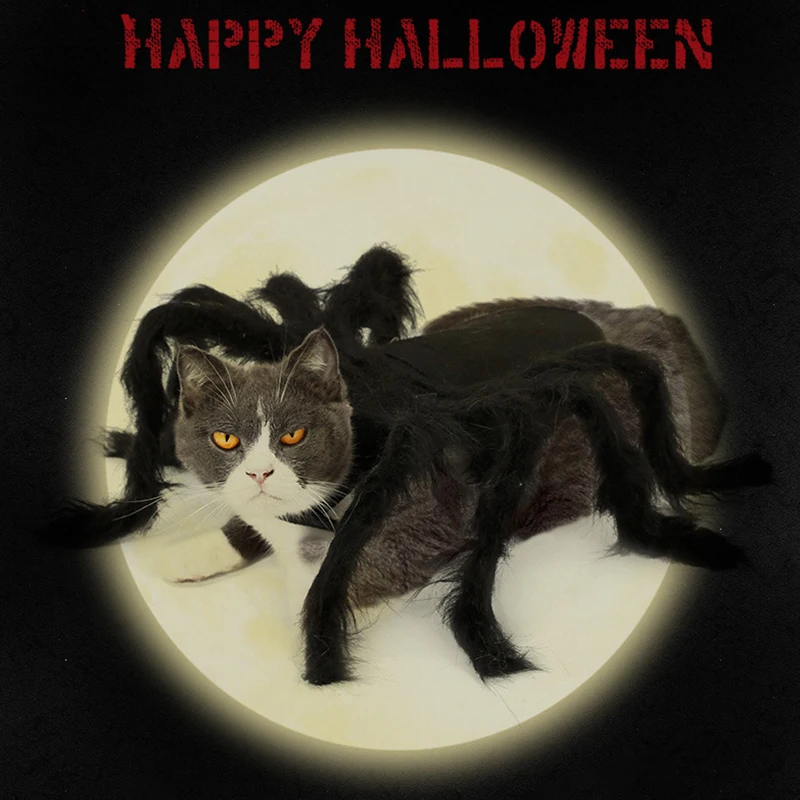 Hišne Pse Oblačila Halloween Pajek Cosplay Kostum Majhen Pes Mucek Stranka Vlogo Igrajo Apretiranje Telovnik Oblačila
