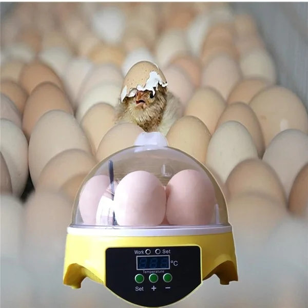 Jajce Inkubator Perutnine Izstopna Odprtina Hatcher Jajca Digitalni Nadzor Temperature Hišne Potrebščine Piščanec Jasno, Mini Samodejno Gos Ptica
