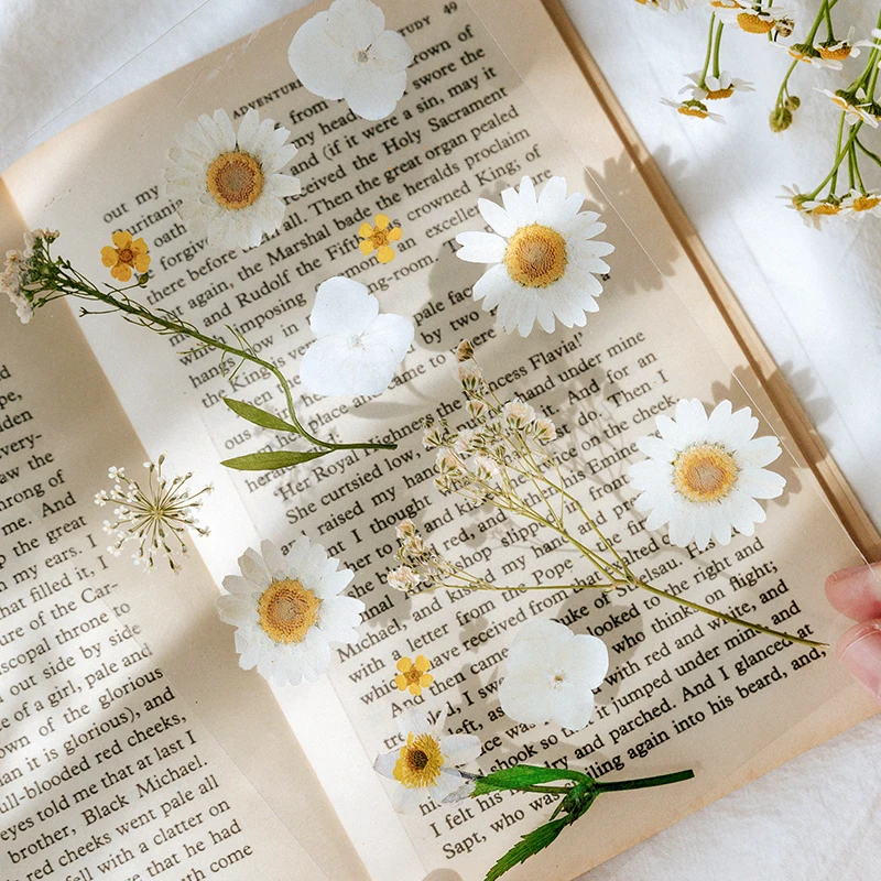 Journamm 12-15pcs Pravi Posušeno Cvetje Daisy Rastlin Kawaii Nalepke Deco Scrapbooking Načrtovalec Japonski Kawaii Dekorativni Tiskovine