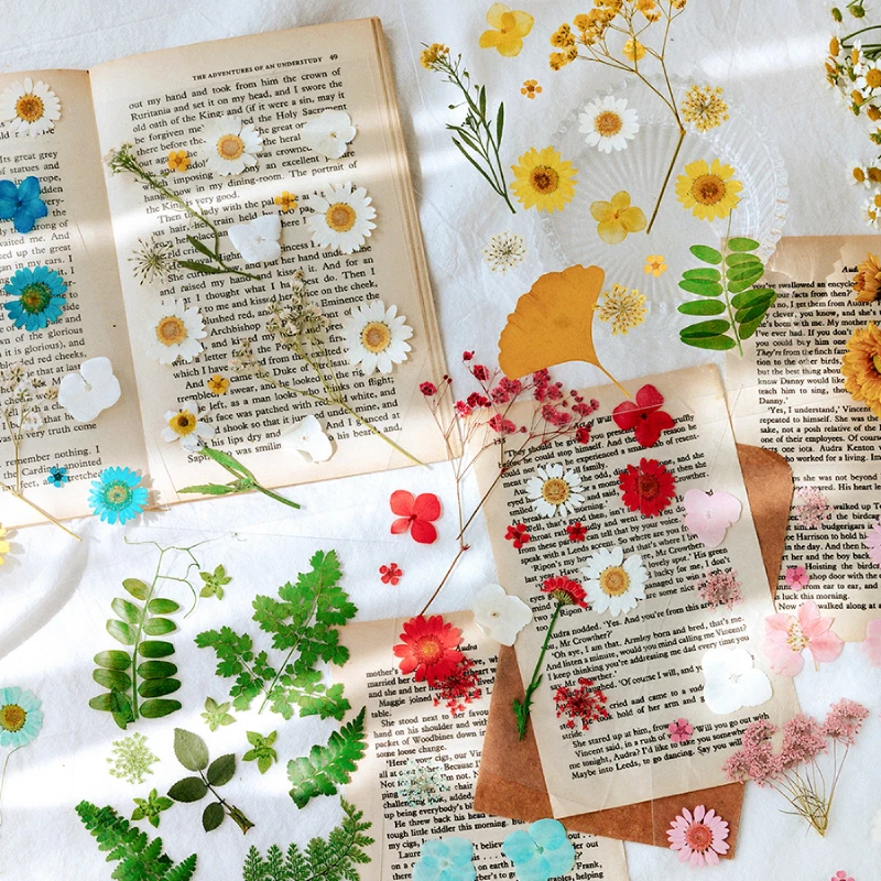 Journamm 12-15pcs Pravi Posušeno Cvetje Daisy Rastlin Kawaii Nalepke Deco Scrapbooking Načrtovalec Japonski Kawaii Dekorativni Tiskovine