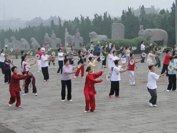 Kitajski Kongfu Kitajski Wushu Borilnih Veščin Taiji Rouli Žogo Šport,Tai Chi Lopar Set