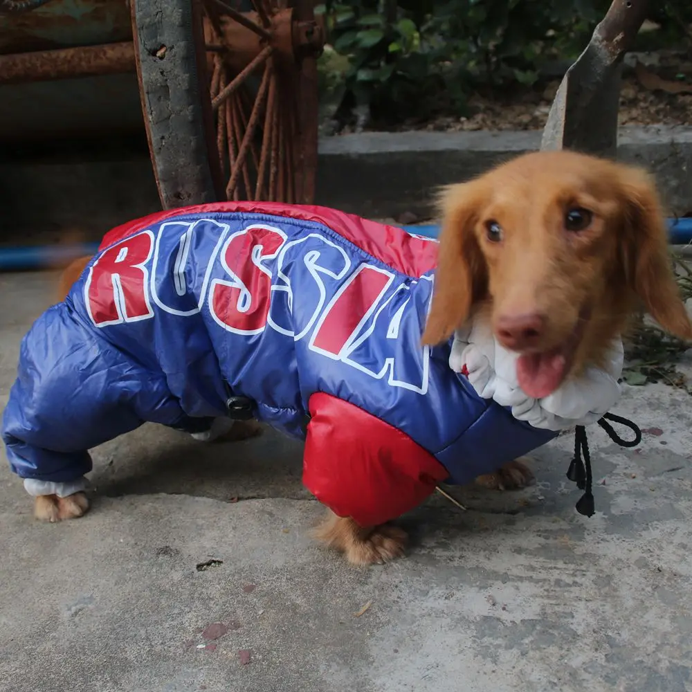 Končne Prodaje Hišnih oblačila pozimi pes Sweather nepremočljiva oblačila pes jakno plašč ruske windproof Jazavičar pes jumpsuit