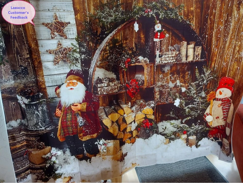 Laeacco Podeželja Hiši Pozimi Božično Drevo Sneg, Snežak Dvorišče Santa Clause Otroška Fotografija Ozadje Fotografije Ozadju Foto Studio