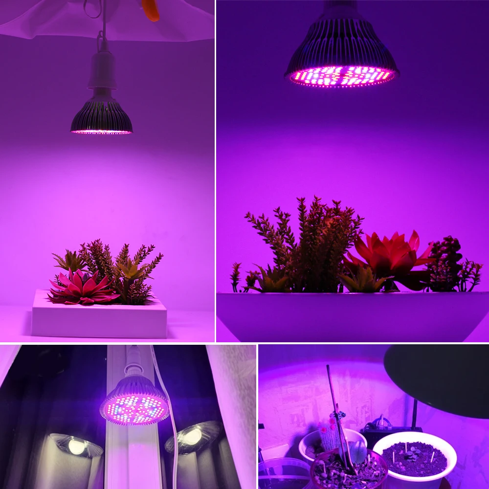 LED Grow Light Polnem Spektru 30W 50 W 80W Modra IR UV Phytolamp Žarnica 4M Stikalo Žice Z EU Vtičem Za uporabo v Zaprtih prostorih Rastlin Sadika Raste