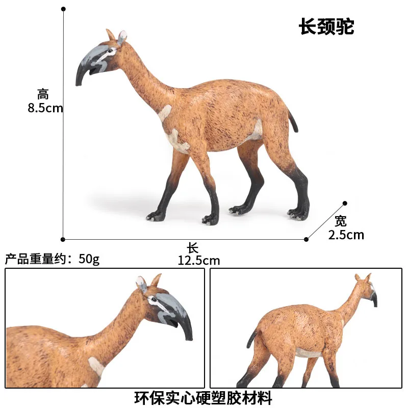 Macrauchenia Živali Slika Zbirateljske Igrače Divje Živali Spoznavanja Figuric Simulacije Živali Igrače