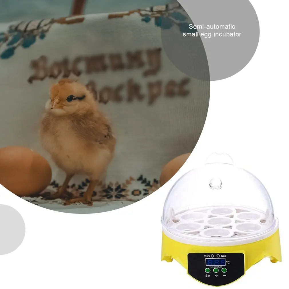Mini 7 Jajce Inkubator Perutnine Inkubator Brooder Digitalni Temperature Valilnica Jajce Inkubator Hatcher Piščanec Raca Ptica, Golob
