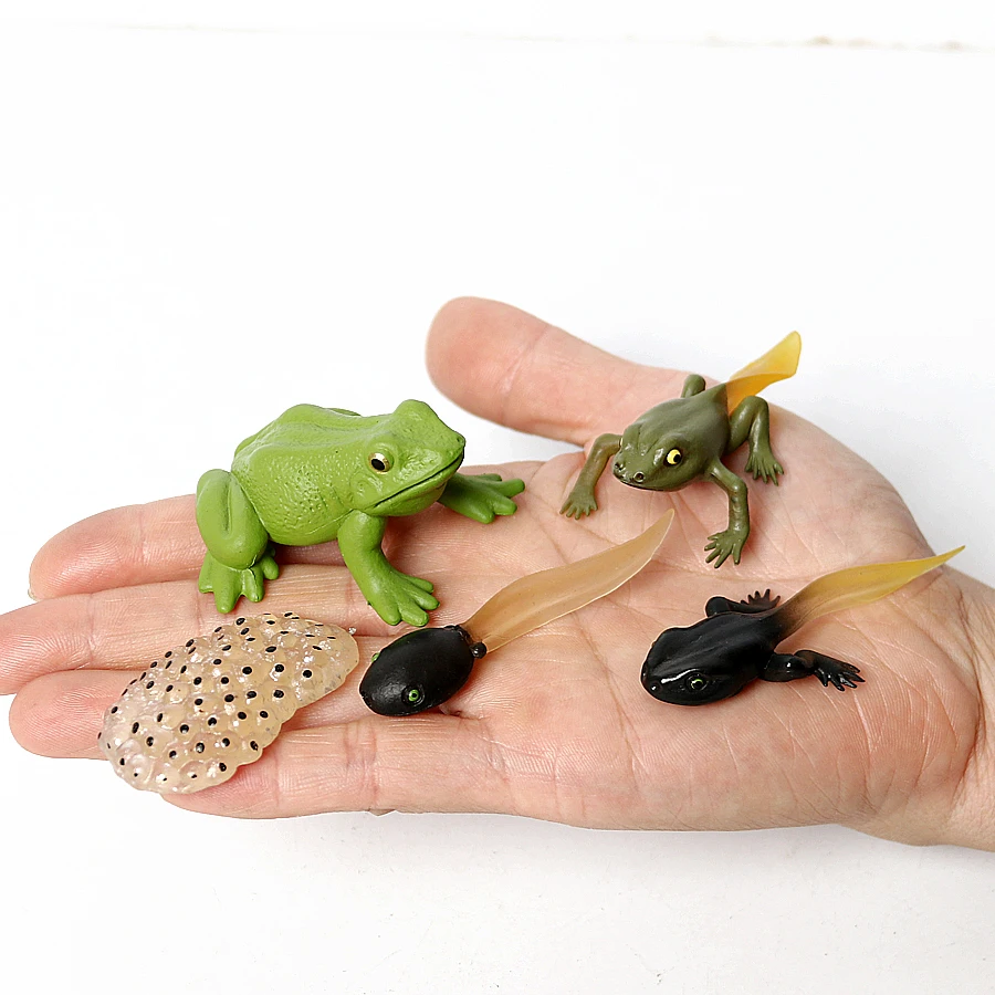 Montessori Piščanec,Želva,mravlje,Žabe,Komarji življenjski Cikel Živali, Šablone za Risanje in Figurice model set Izobraževalne Igrače