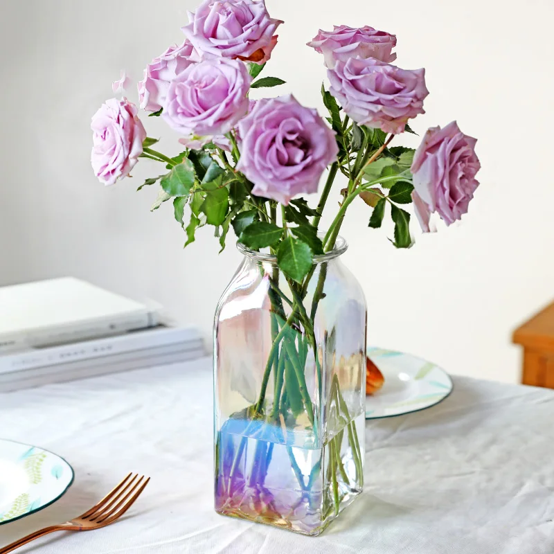 Multicolor Steklena Vaza za dnevno Sobo, Posušeno Cvetje Nordijska Pregleden Evropi Domov Dekoracijo Doma Cvet Namizni Vaze