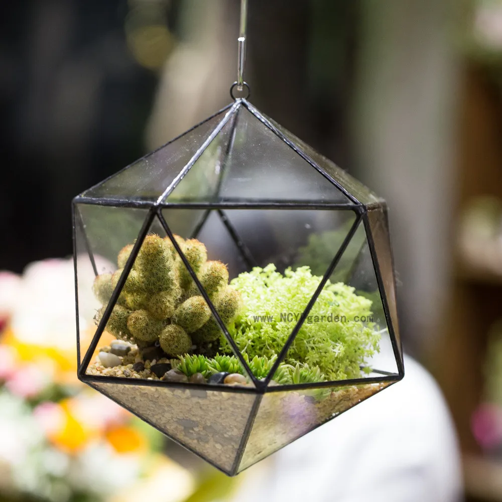 NCYP Sodobne Umetniške Cvetlični lonček Icosahedron Trikotna Stekla Geometrijske Terarija Posode Moss Rastlin Bonsaj Cvetlični Lončki