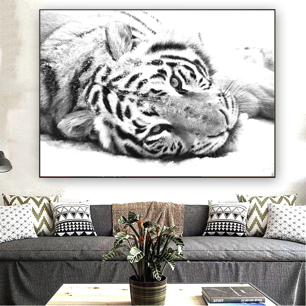 Nodic Dekor Črno Beli Tiger Leži V Snegu Živali Platno Umetniško Slikarstvo Na Plakate In Grafike Stenske Slike Za Dnevno Sobo