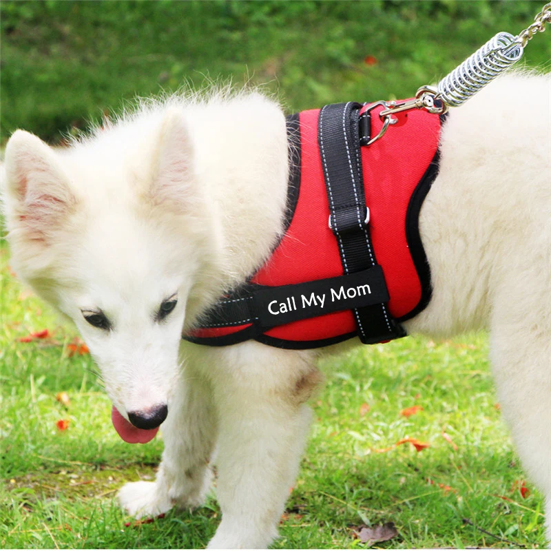 Nov Modni Pes Ime Pas Kostumirana Brezplačno Ime, Telefonsko Številko Srednje Velikih Velik Pes Pet Osebno Pas