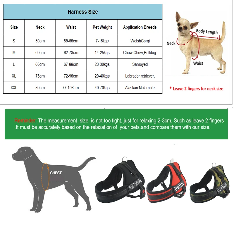 Nov Modni Pes Ime Pas Kostumirana Brezplačno Ime, Telefonsko Številko Srednje Velikih Velik Pes Pet Osebno Pas