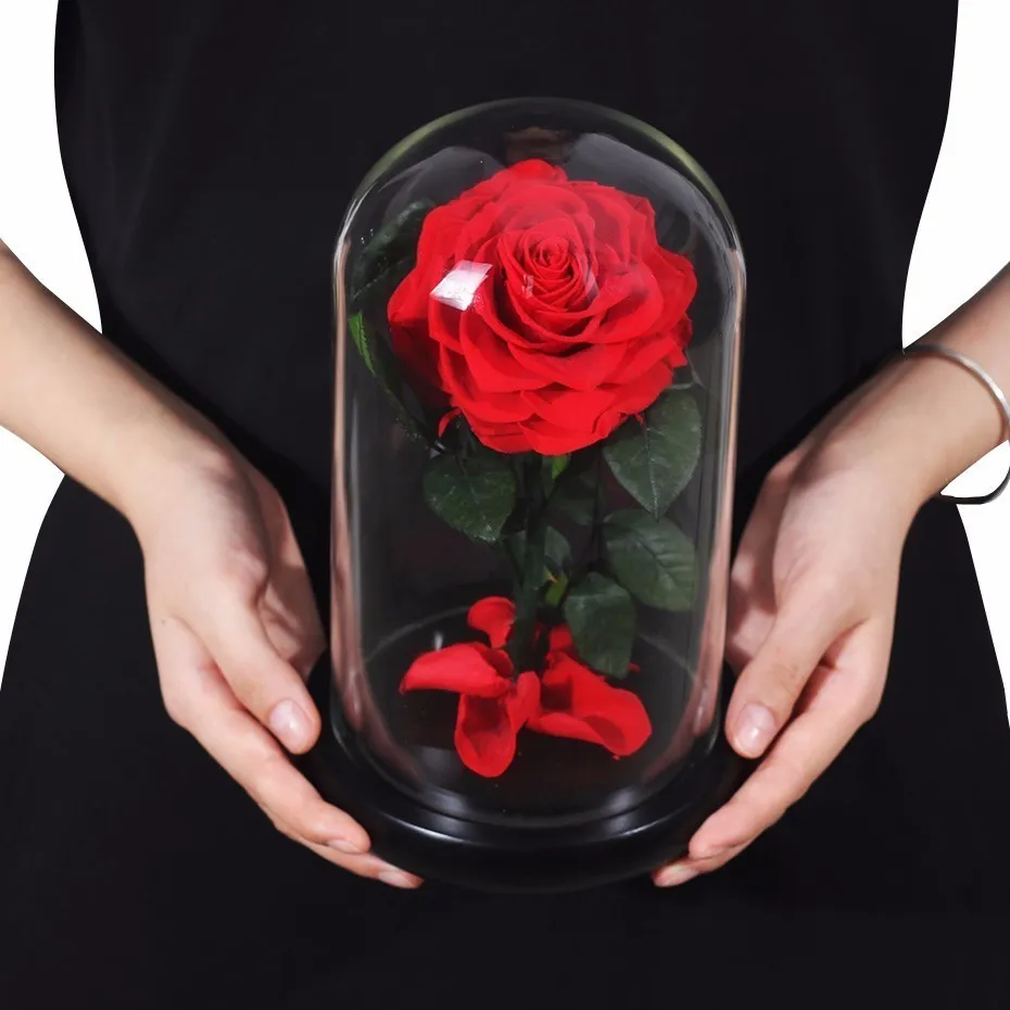 Nova Lepa In Zver, Konzervirane Rose Steklena Kupola S Svetlobo Doma Okraski Za Božična Darila za Valentinovo, Darila
