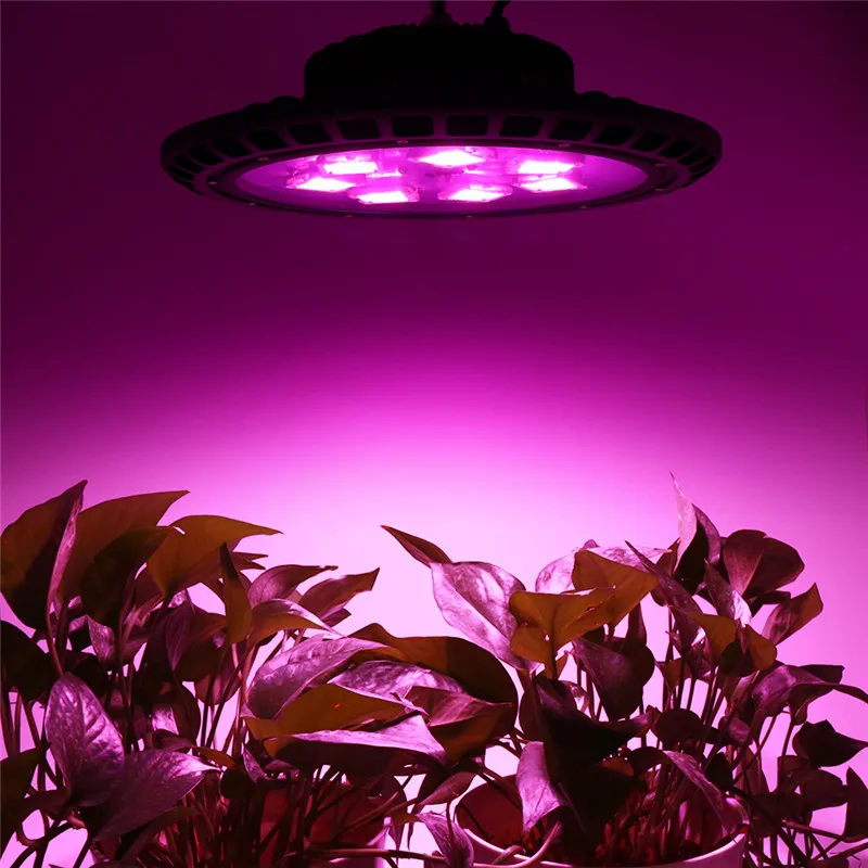 Novo COB LED Grow Light Celoten Spekter LED Raste Lučka 600W 1000W 1400W Za Notranjo Rast Rastlin, LED Osvetlitev Kmetiji Toplogrednih Vegs