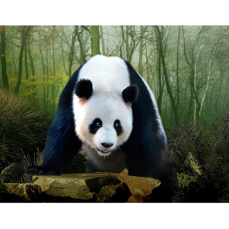Panda DIY 5D Diamond Slikarstvo Navzkrižno Šiv Celoten Krog Smolo Mozaik Živali Diamond Vezenje Okrasnih Umetnosti Ročno Darilo