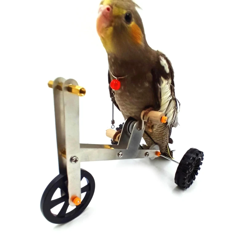 Parrot Mini Kovinsko Kolo Igrača Za Ptice Usposabljanje Plaything Izobraževanja Interaktivni Rekviziti